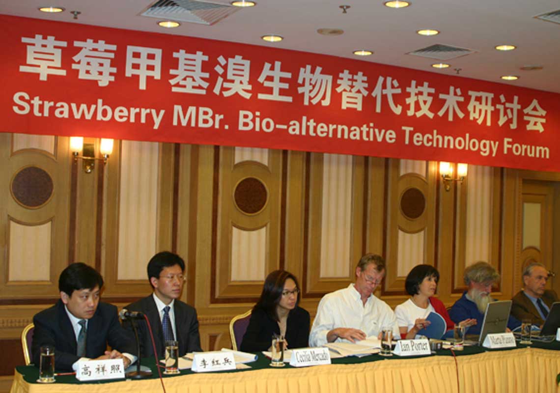 聯(lián)合國環(huán)境署、聯(lián)合國工發(fā)組織等機構(gòu)出席了我公司舉行的草莓甲基溴生物替代技術研討會